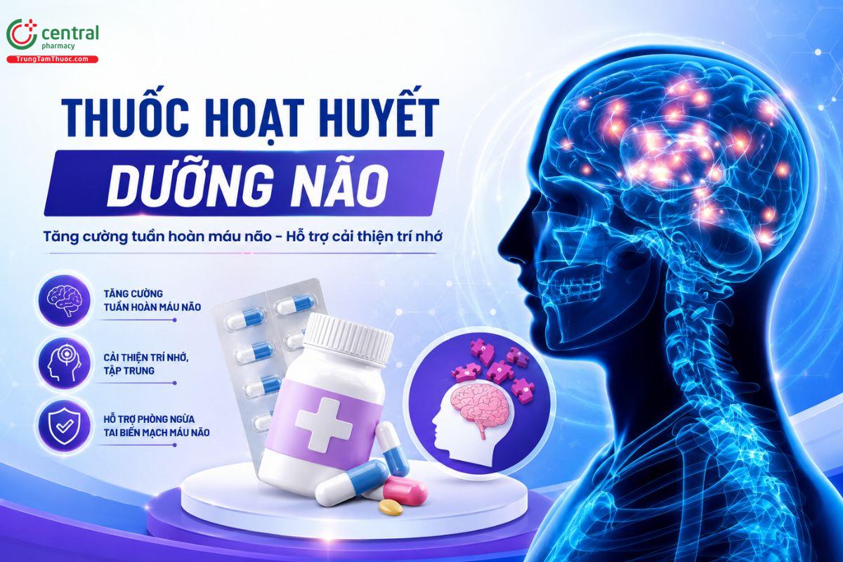  [BÁC SĨ KHUYÊN DÙNG] 10 thuốc hoạt huyết dưỡng não an toàn, hiệu quả