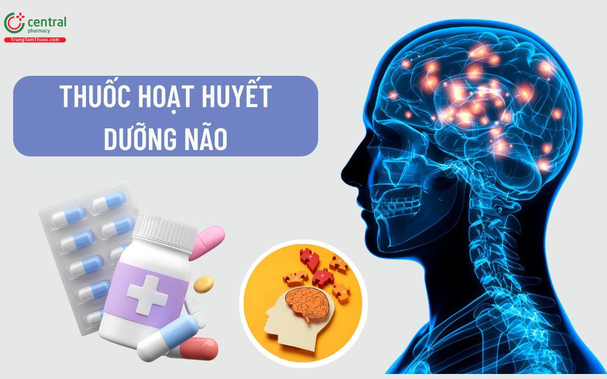  [BÁC SĨ KHUYÊN DÙNG] 10 thuốc hoạt huyết dưỡng não an toàn, hiệu quả