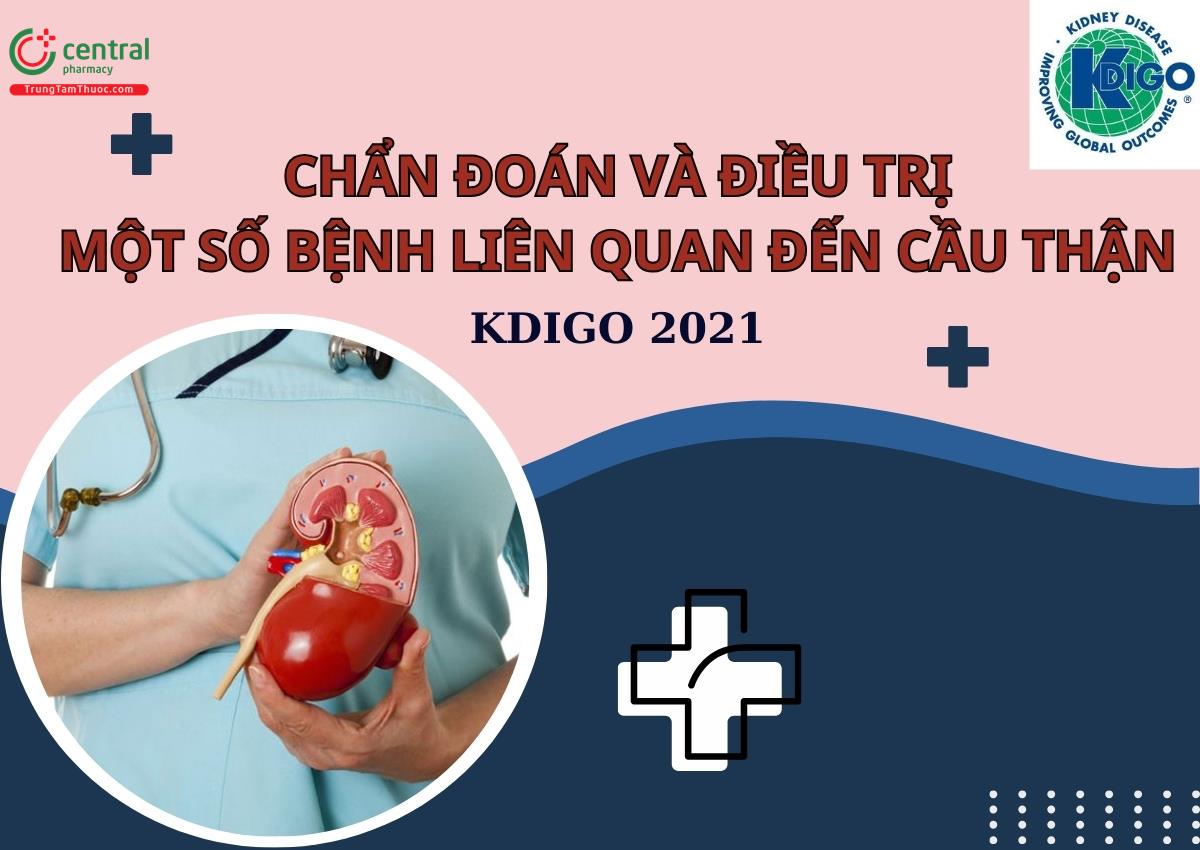 Chẩn đoán và điều trị một số bệnh liên quan đến cầu thận - KDIGO 2021