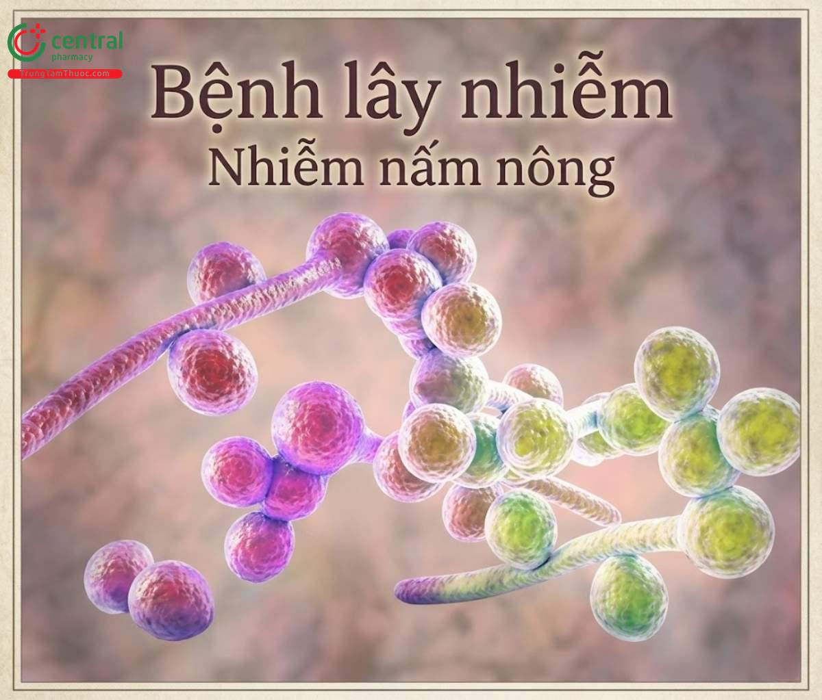 Bệnh lây nhiễm: Nhiễm nấm nông