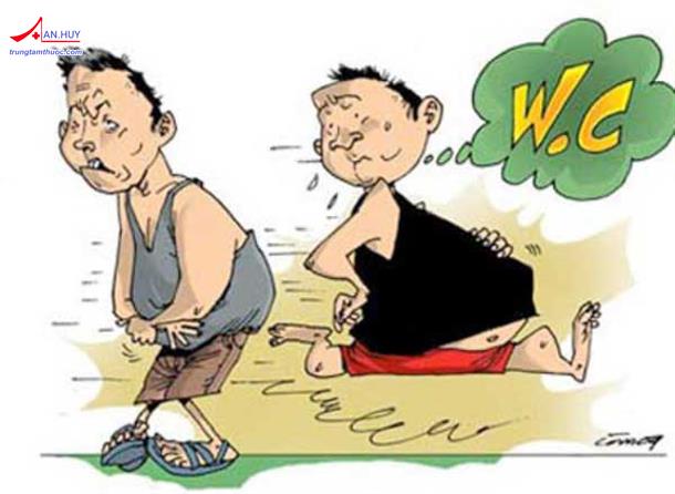 Dược lý thuốc điều trị bệnh do Amip và Trichomonas gây ra