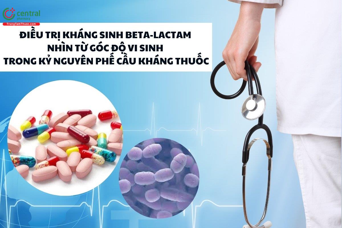 Điều trị kháng sinh beta-lactam nhìn từ góc độ vi sinh trong kỷ nguyên phế cầu kháng thuốc