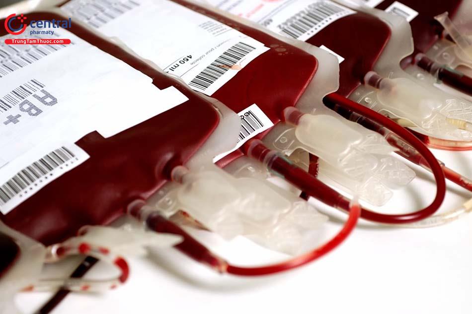 Bị ném đá vì xuất khẩu máu hiến, BV Truyền máu Huyết học TP HCM phản ứng