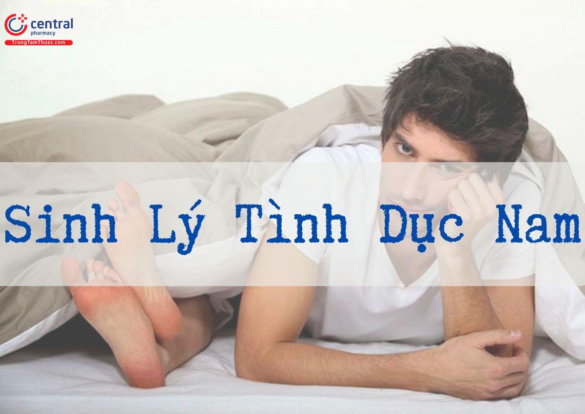 Giải phẫu cơ quan sinh dục nam và cơ chế phản ứng tình dục ở nam giới