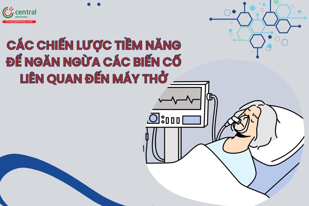 Các chiến lược tiềm năng để ngăn ngừa các biến cố liên quan đến máy thở