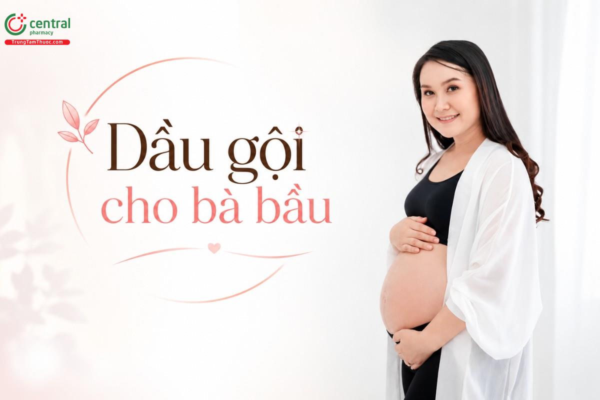 Các loại dầu gội đầu dành cho bà bầu an toàn, bán chạy nhất năm 2026