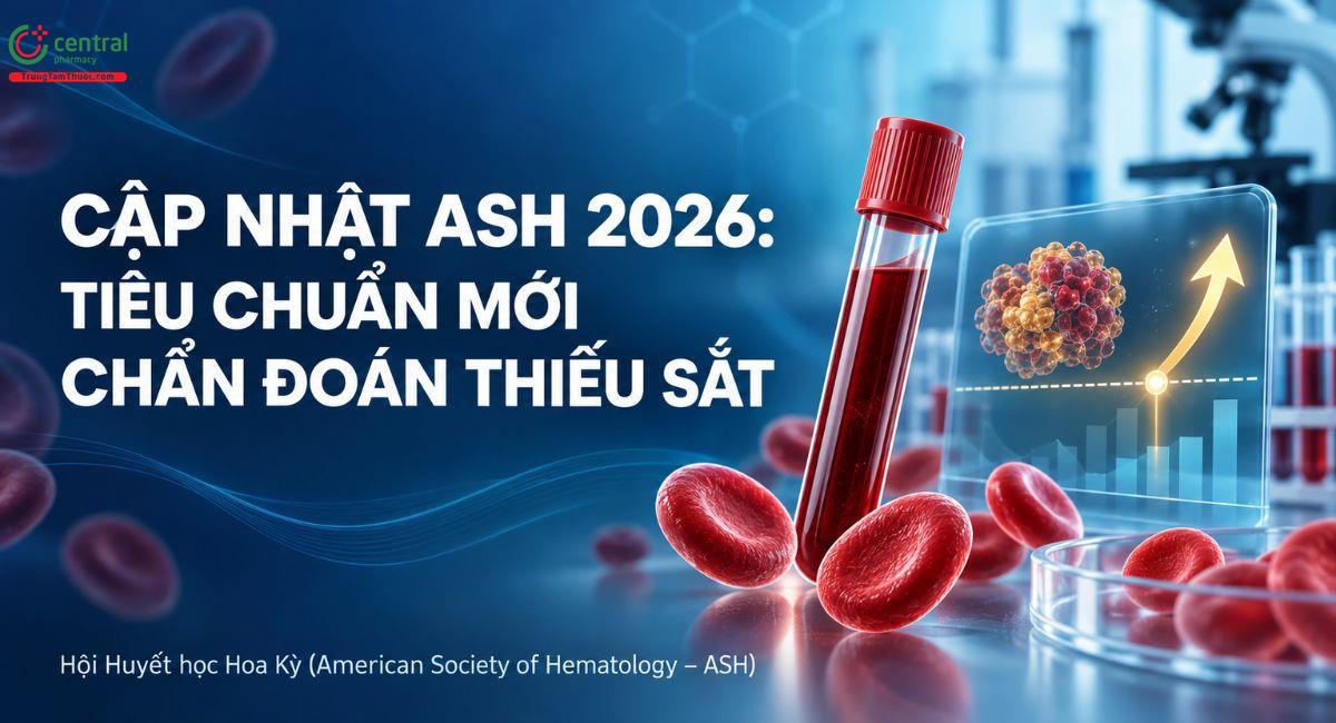 Cập nhật ASH 2026: Tiêu chuẩn mới chẩn đoán thiếu sắt
