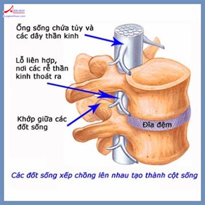 Những điều cần biết trong điều trị thoát vị đĩa đệm