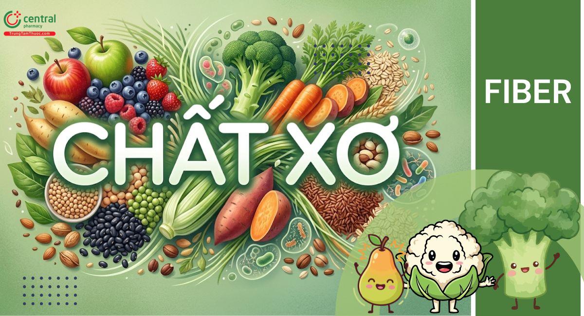 Chất xơ là gì, gồm những loại nào? Bổ sung chất xơ có lợi gì với cơ thể?