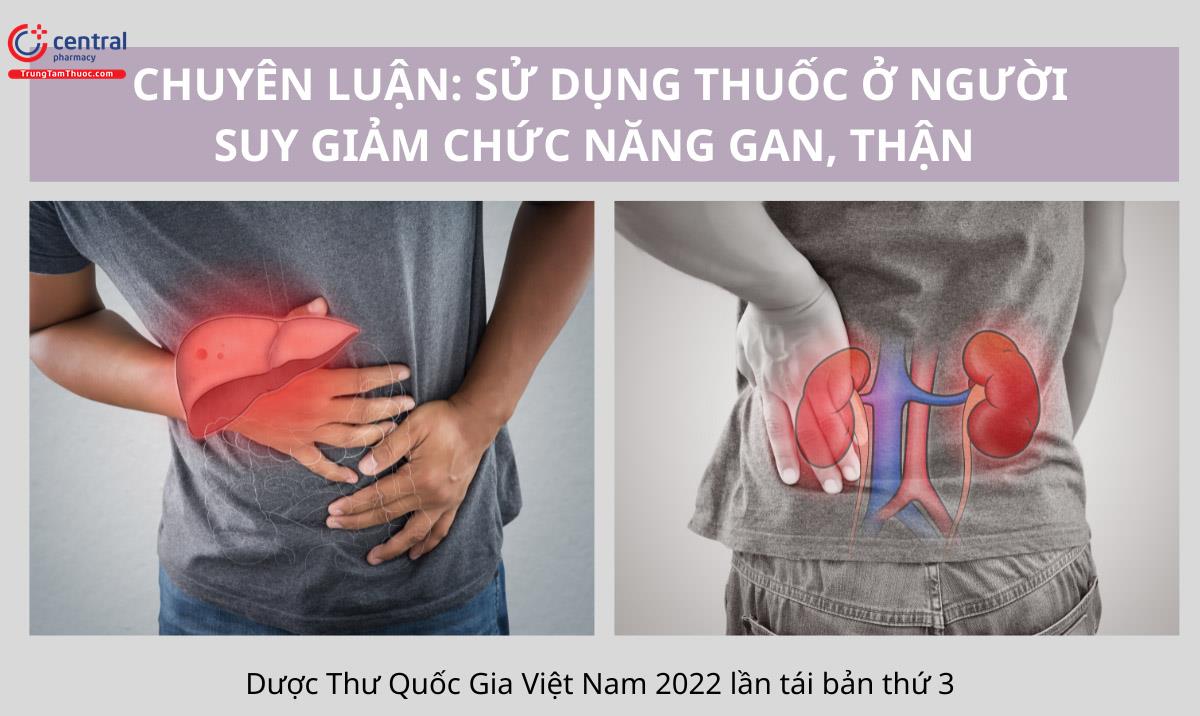 Chuyên luận: Sử dụng thuốc ở người suy giảm chức năng gan, thận - Dược Thư Quốc Gia Việt Nam 2022