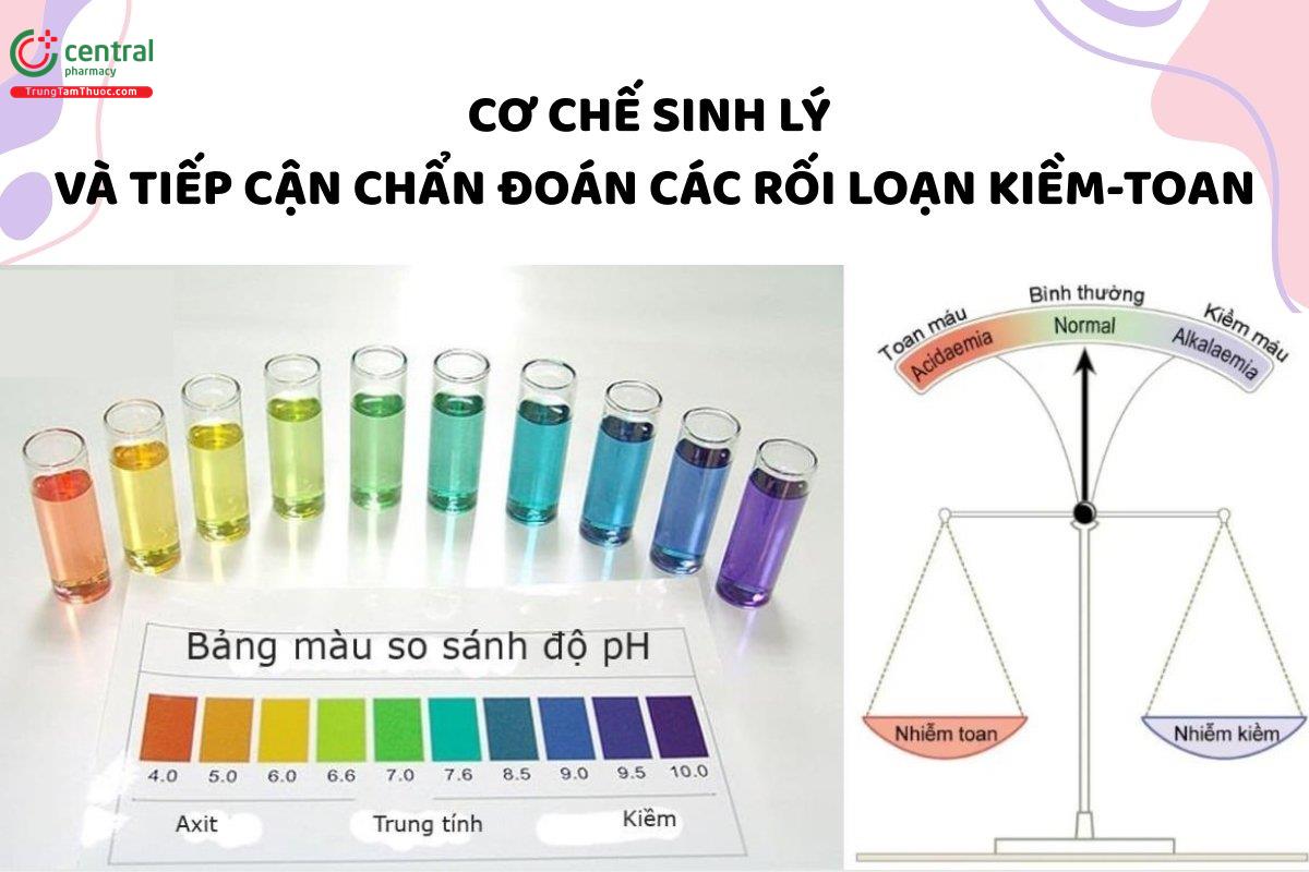 Cơ chế sinh lý và tiếp cận chẩn đoán các rối loạn kiềm-toan