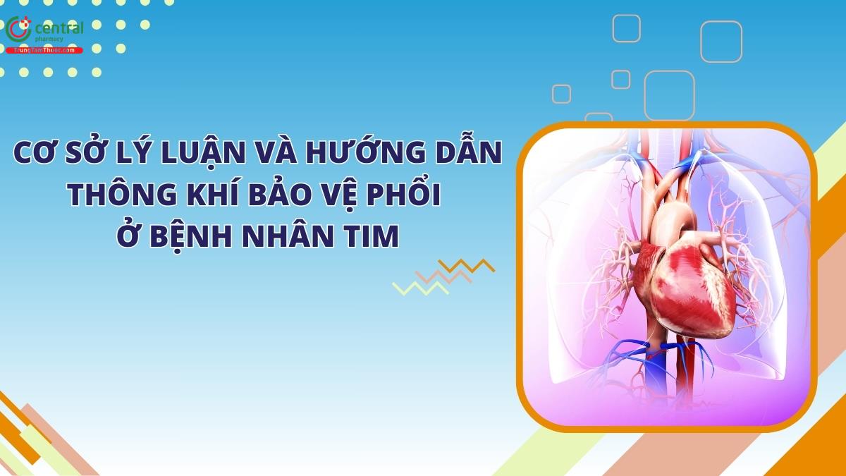 Cơ sở lý luận và hướng dẫn thông khí bảo vệ phổi ở bệnh nhân tim