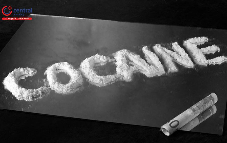 Hiểm họa khôn lường đến từ việc sử dụng cocain có thể bạn chưa biết