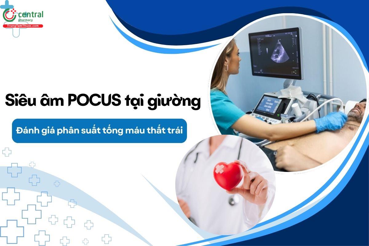 Đánh giá phân suất tống máu thất trái bằng siêu âm tim tại giường
