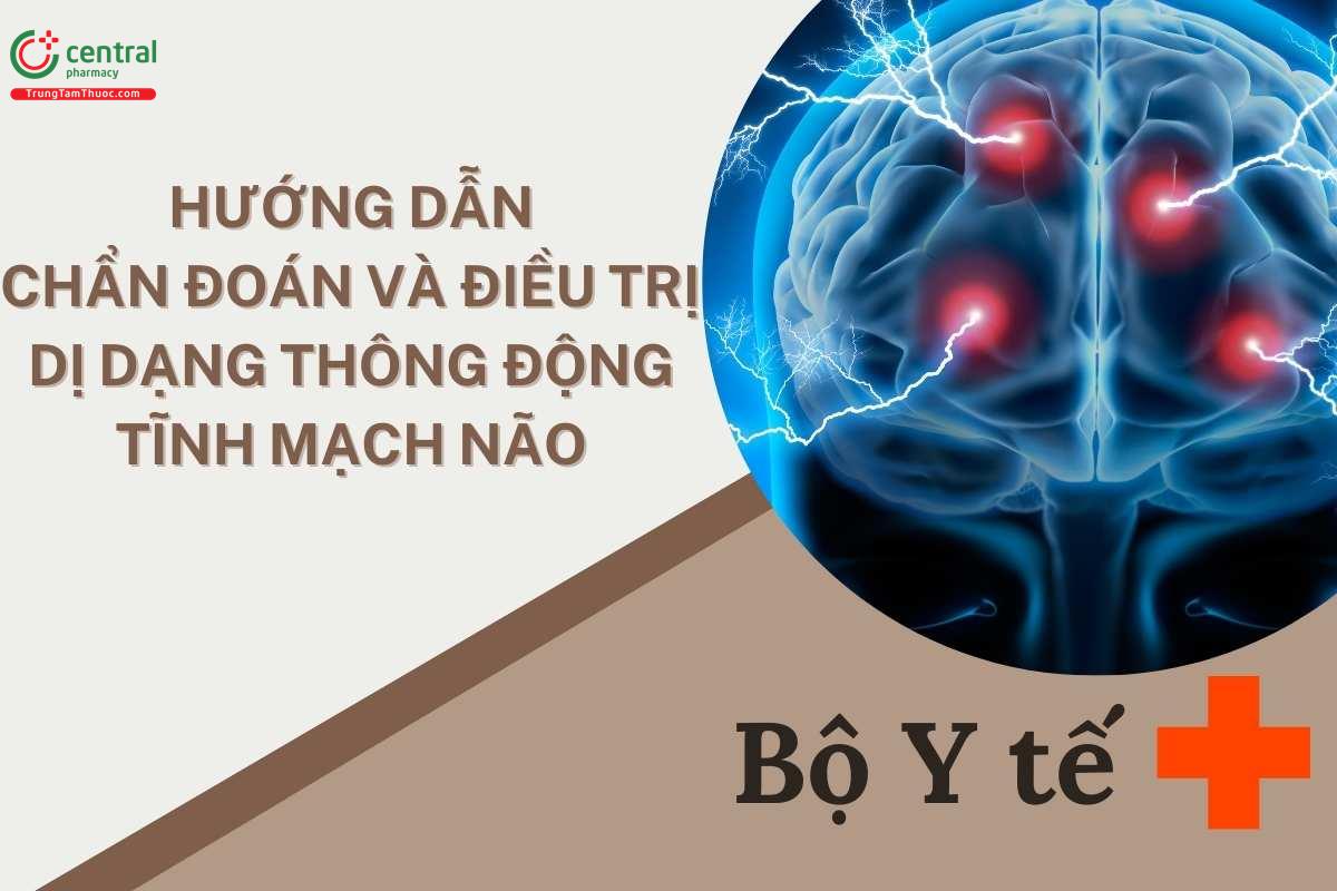 Hướng dẫn chẩn đoán và điều trị dị dạng thông động tĩnh mạch não - Bộ Y tế