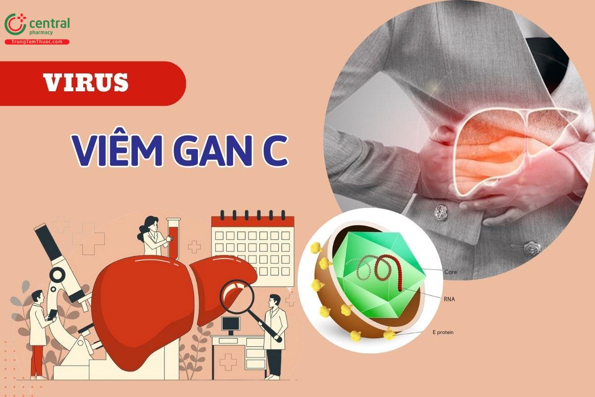 Điều trị viêm gan virus C ở một số đối tượng đặc biệt