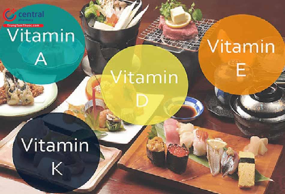 Dược lý các vitamin tan trong dầu: Đại cương và thuốc cụ thể