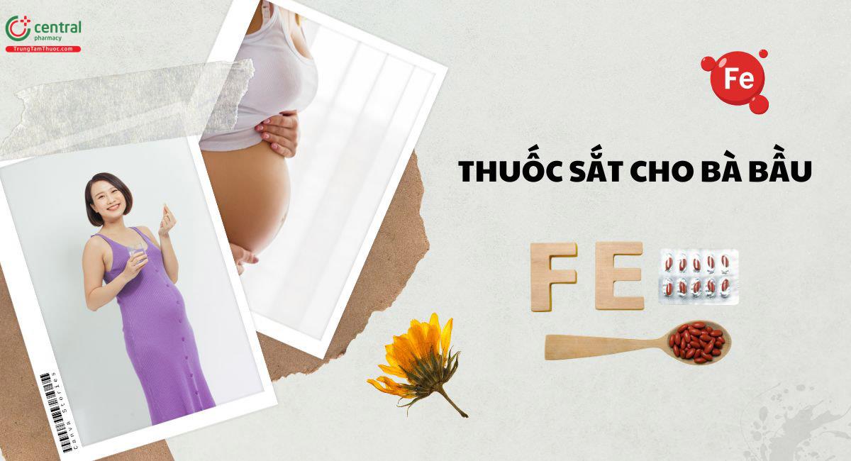 [DƯỢC SĨ KHUYÊN DÙNG] 5+ thuốc sắt cho bà bầu giúp thai kỳ khỏe mạnh