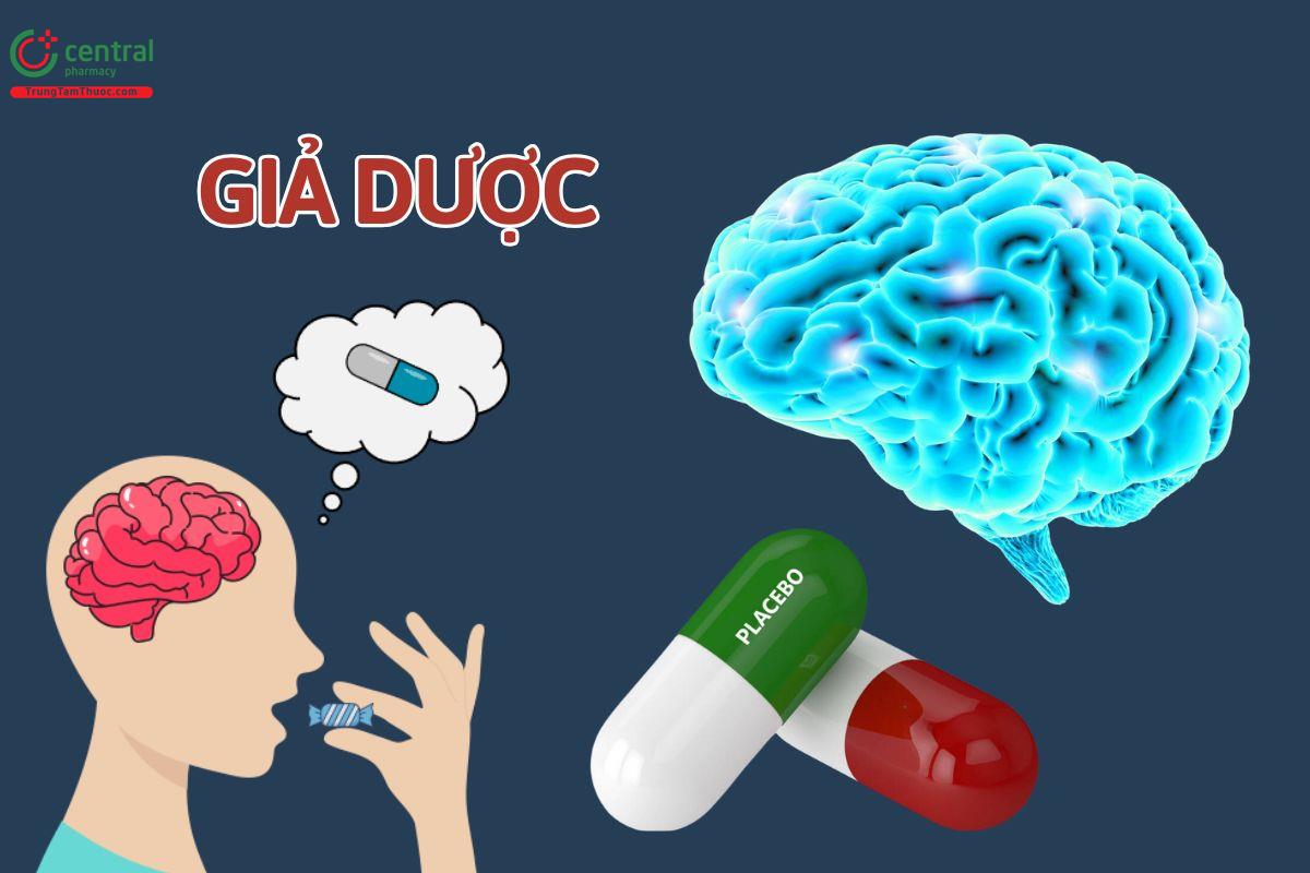 Hiệu ứng giả dược (Placebo) là gì? Cơ chế hoạt động và ứng dụng thực tiễn