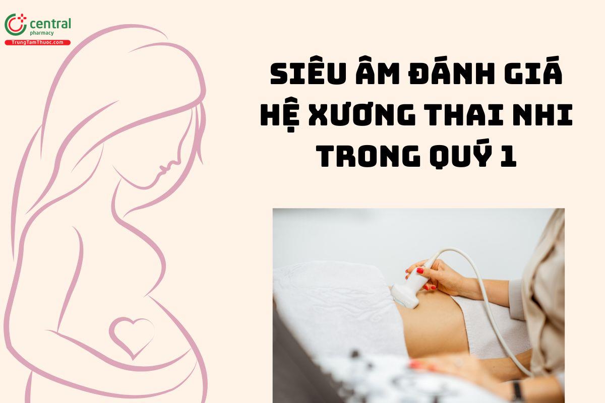 Siêu âm đánh giá hệ xương thai nhi trong quý 1