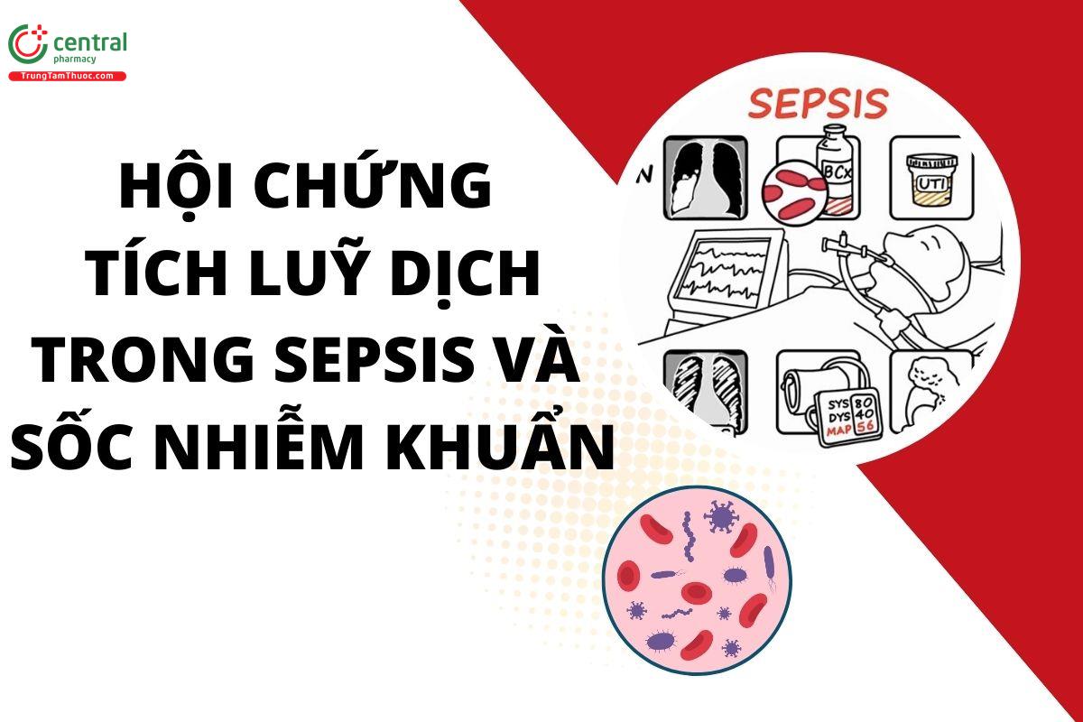 Hội Chứng Tích Lũy Dịch Trong Sepsis Và Sốc Nhiễm Khuẩn