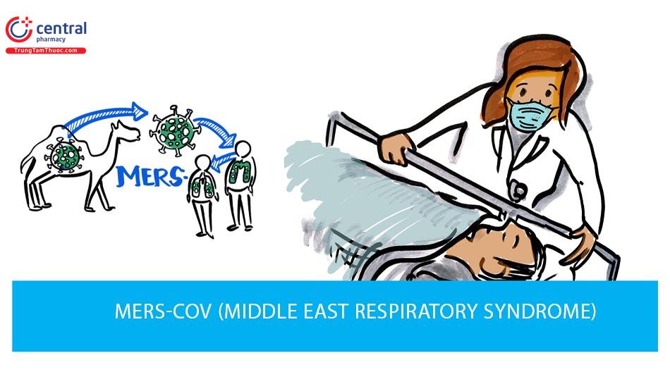 Hội chứng viêm đường hô hấp vùng Trung Đông - MERS-COV