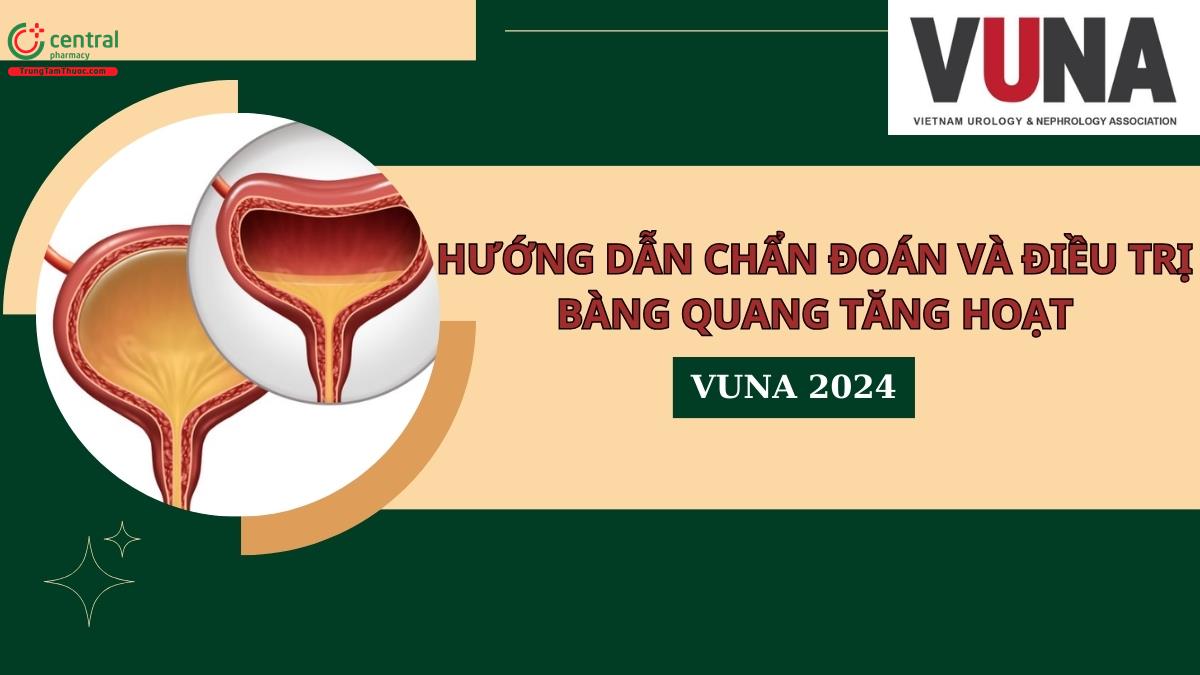 Hướng dẫn chẩn đoán và điều trị bàng quan tăng hoạt - VUNA 2024