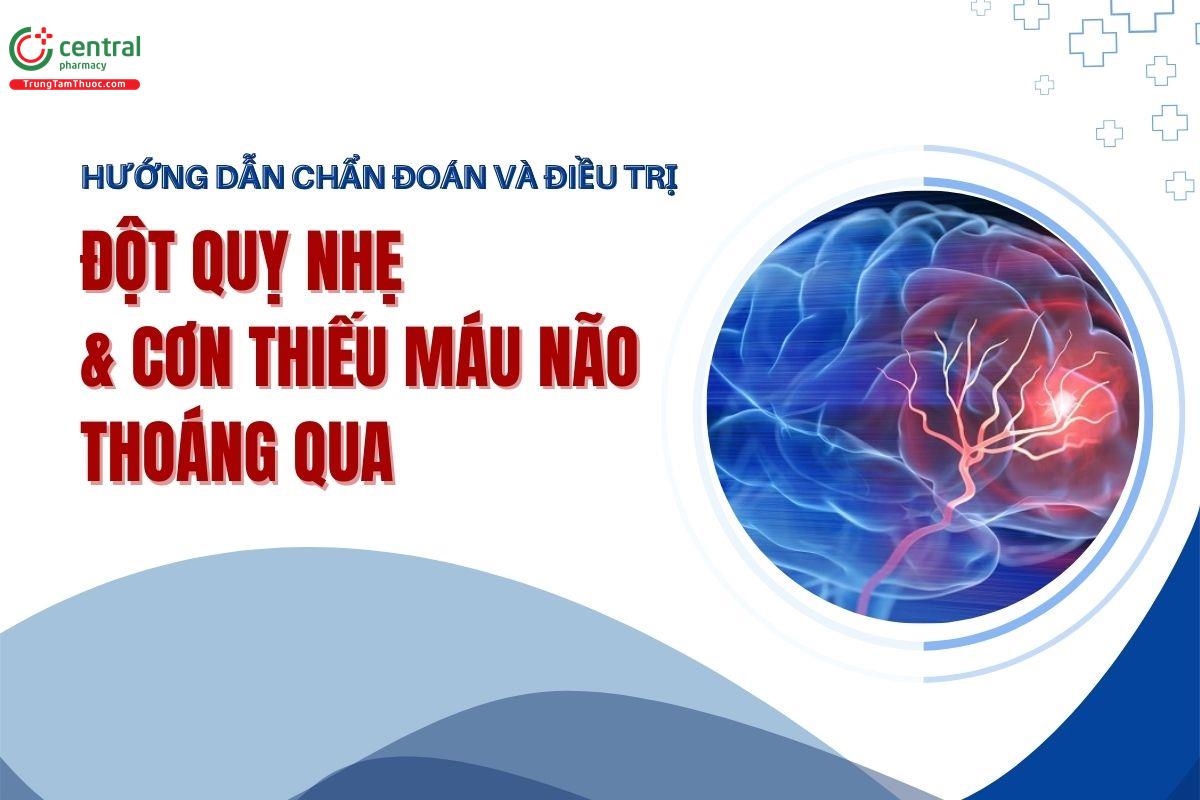 Hướng dẫn Chẩn đoán và điều trị đột quỵ nhẹ và cơn thiếu mãu não thoáng qua - Bộ Y tế