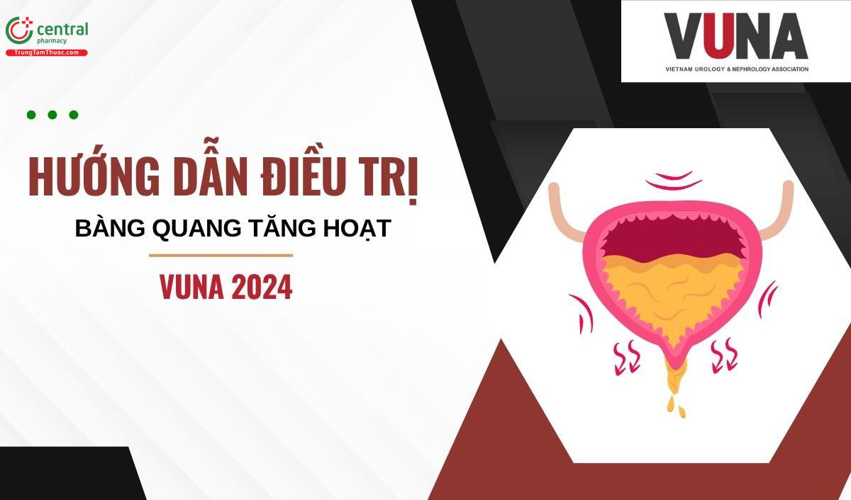 Phác đồ và thuốc điều trị bệnh bàng quang tăng hoạt theo VUNA 2024