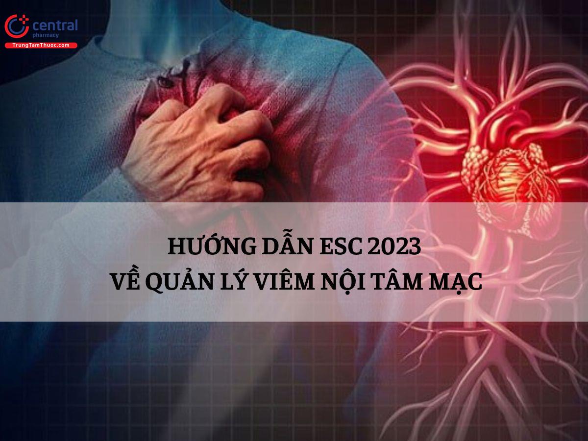 Hướng dẫn của Hội tim mạch Châu Âu (ESC) 2023 về quản lý viêm nội tâm mạc