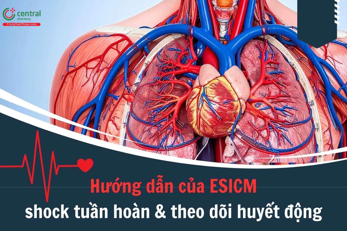 Shock tuần hoàn và theo dõi huyết động: Hướng dẫn của ESICM 2025
