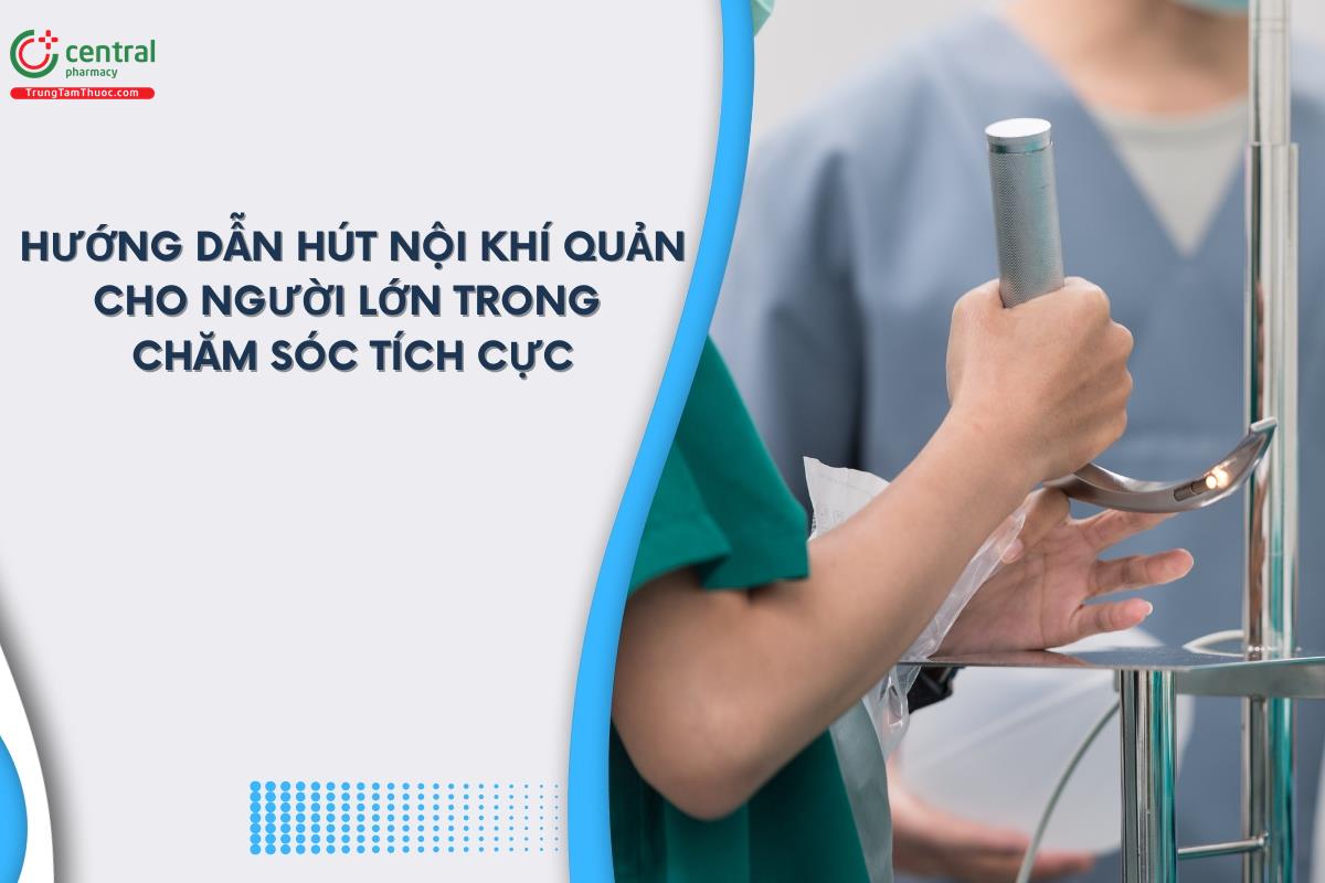 Hướng dẫn hút nội khí quản cho người lớn trong chăm sóc tích cực