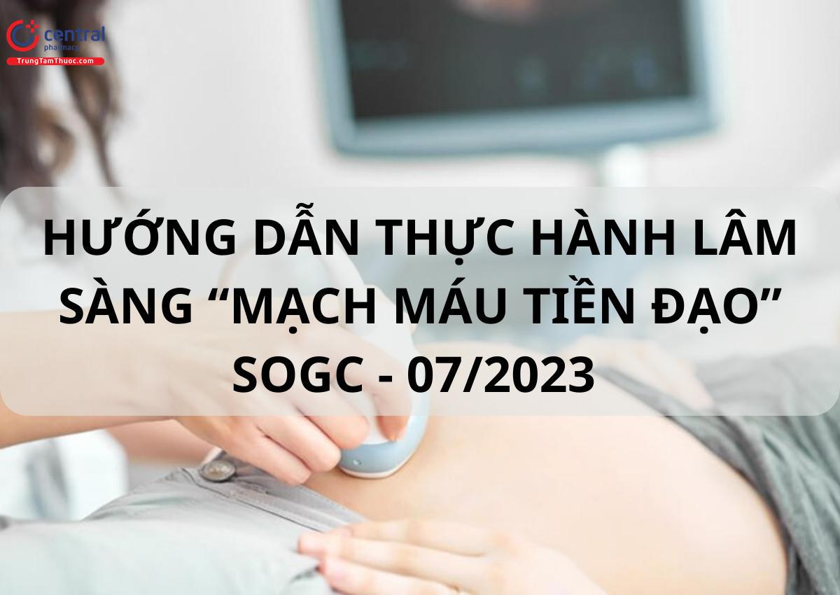 Hướng dẫn thực hành lâm sàng 'Mạch máu tiền đạo' SOGC - 07/2023