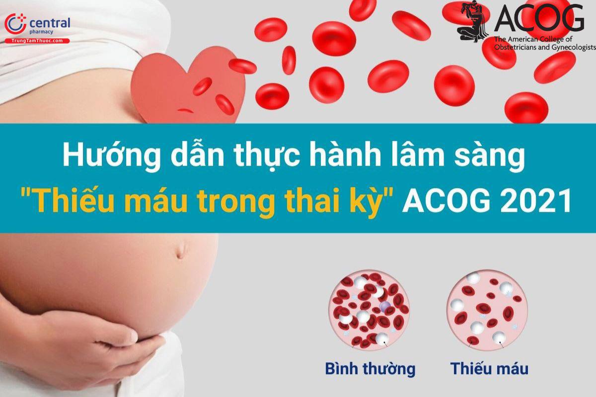 Hướng dẫn thực hành lâm sàng 'Thiếu máu trong thai kỳ' ACOG 2021