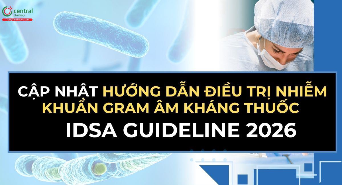 [HOT] Cập nhật hướng dẫn năm 2026 của IDSA về điều trị nhiễm khuẩn Gram âm kháng thuốc