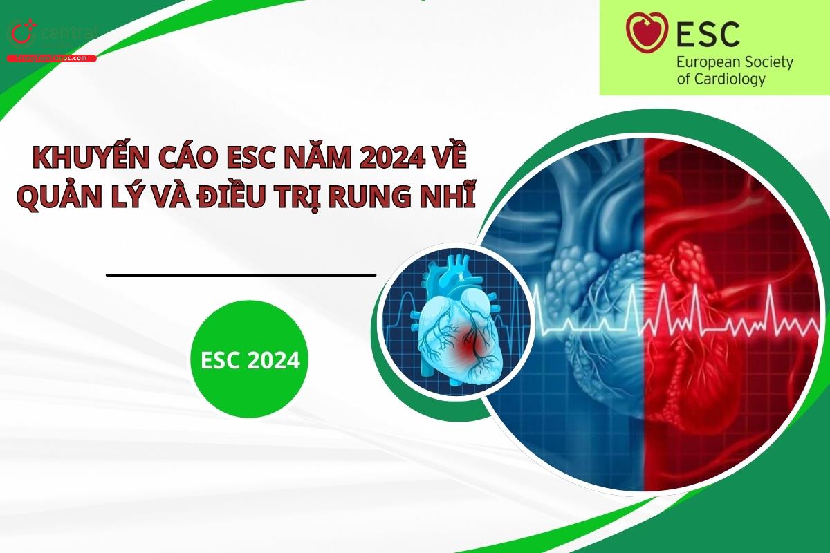 Khuyến cáo ESC năm 2024 về quản lý và điều trị rung nhĩ