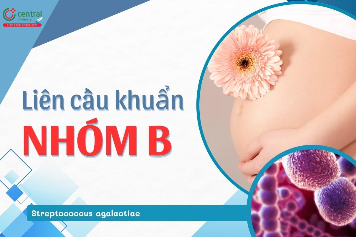 Xét nghiệm liên cầu khuẩn nhóm B từ tuần bao nhiêu khi mang thai, hết mấy tiền