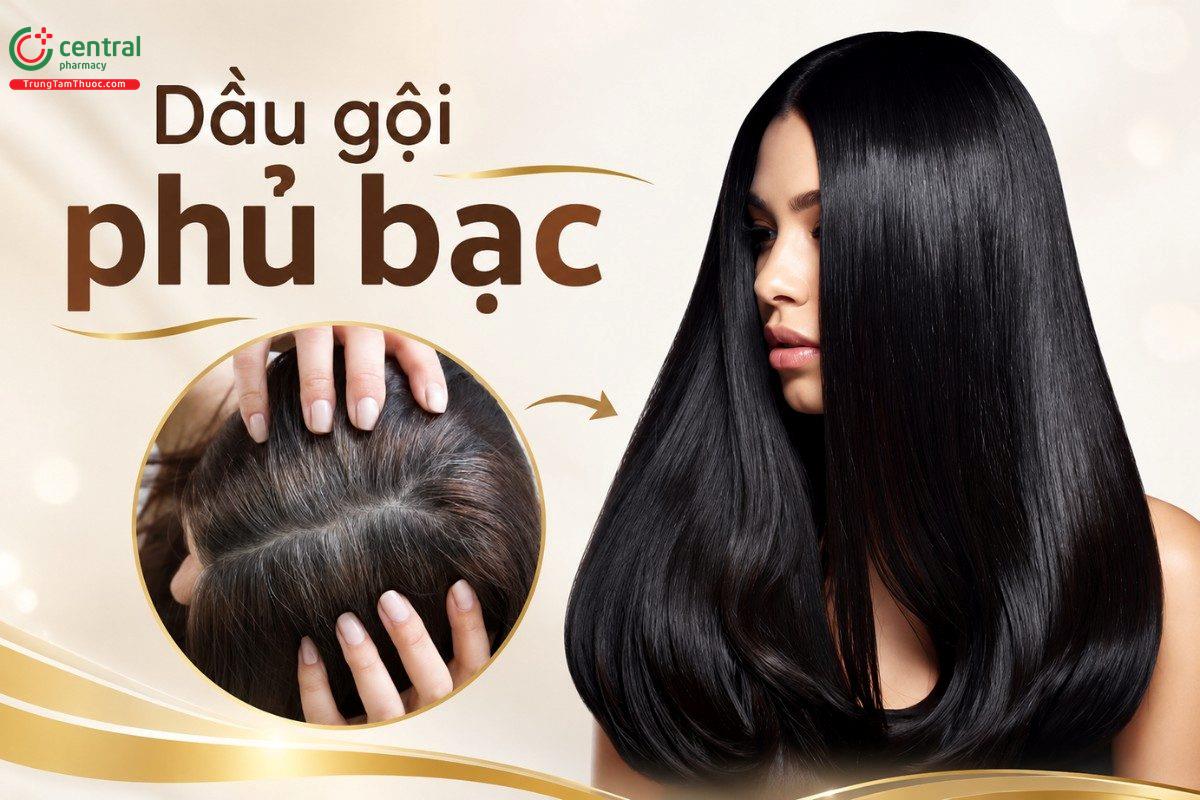 Mách bạn 5 loại dầu gội phủ bạc được yêu thích