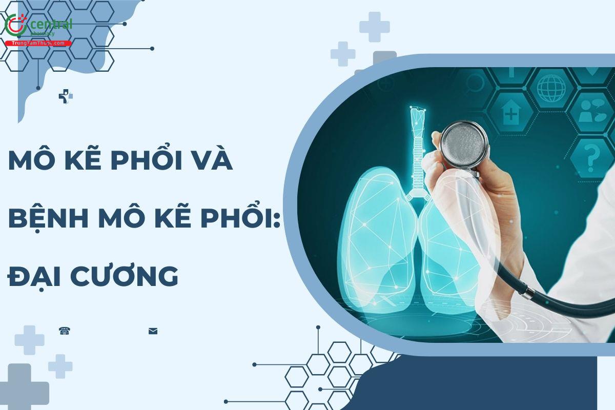 Giải phẫu chức năng của mô kẽ phổi và đại cương bệnh mô kẽ phổi