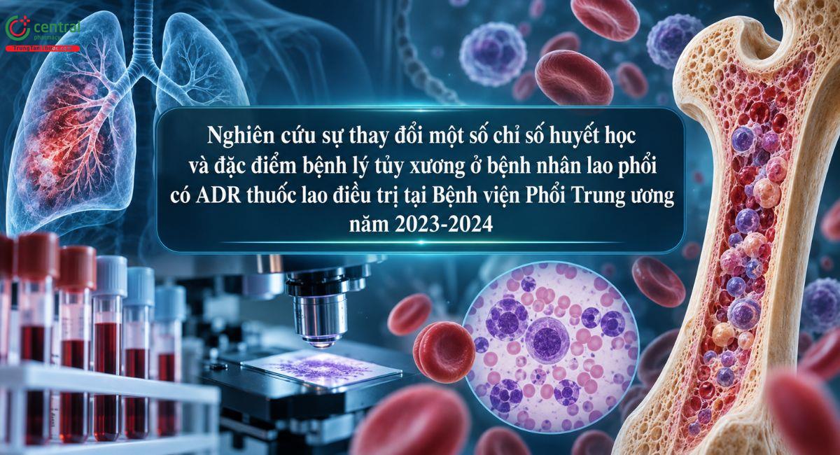 Nghiên cứu sự thay đổi một số chỉ số huyết học và đặc điểm bệnh lý tủy xương ở bệnh nhân lao phổi có ADR thuốc lao điều trị tại Bệnh viện Phổi Trung ương năm 2023-2024