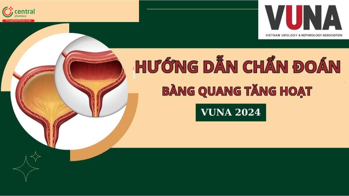Nguyên nhân, hướng dẫn chẩn đoán bệnh bàng quang tăng hoạt - VUNA 2024