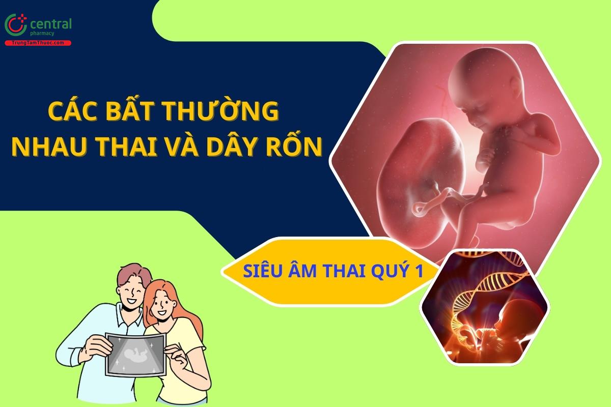 Tìm hiểu các bất thường nhau thai và dây rốn trong siêu âm thai quý 1