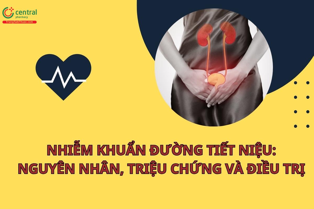 Nhiễm khuẩn đường tiết niệu: nguyên nhân, triệu chứng và điều trị