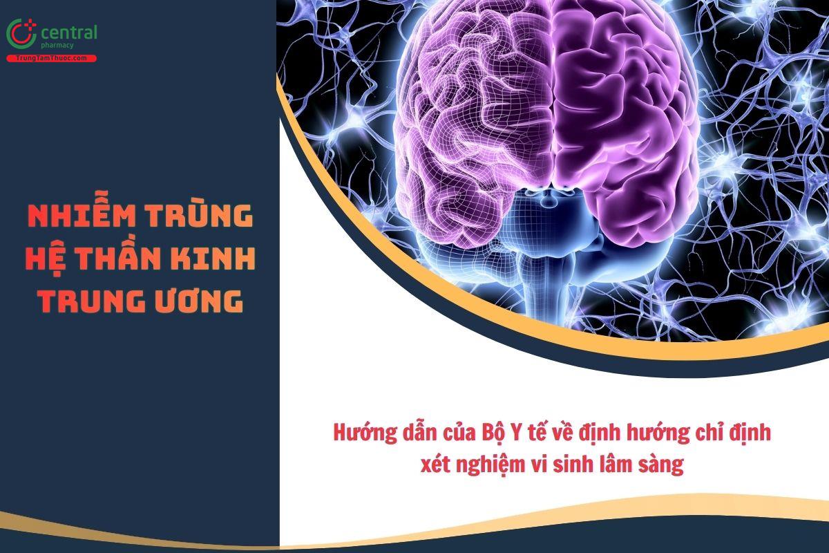 Nhiễm trùng hệ thần kinh trung ương - Hướng dẫn của Bộ Y tế về định hướng chỉ định xét nghiệm vi sinh lâm sàng