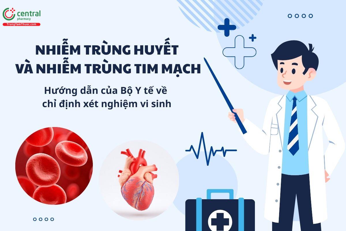 Nhiễm trùng huyết và nhiễm trùng tim mạch - Hướng dẫn của Bộ Y tế về chỉ định xét nghiệm vi sinh