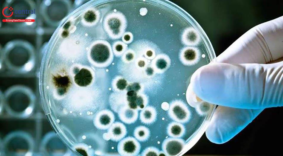 Nhiễm trùng siêu vi khuẩn: Mối đe dọa lớn với bệnh nhân ung thư