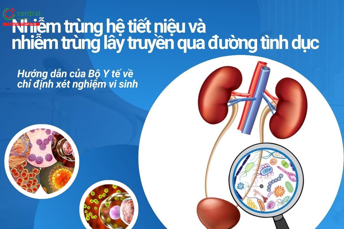 Nhiễm trùng hệ tiết niệu và nhiễm trùng lây truyền qua đường tình dục - Hướng dẫn của Bộ Y tế về chỉ định xét nghiệm vi sinh