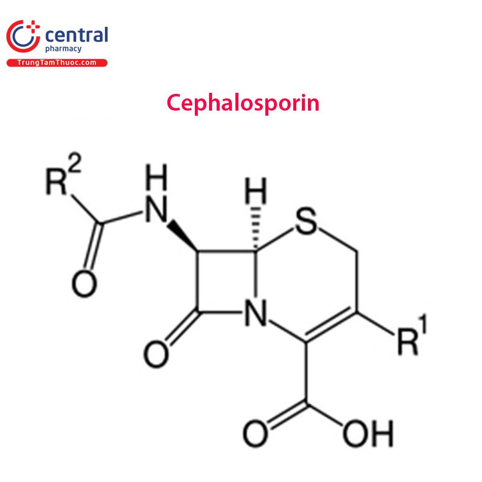 Nhóm kháng sinh Cephalosporin: Những điều cần biết từ A-Z