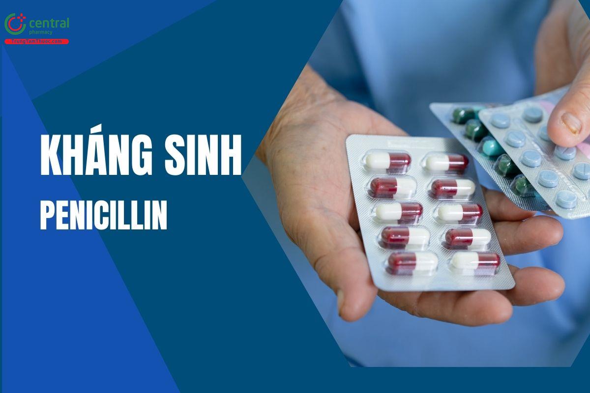 Nhóm kháng sinh Penicillin: Những điều cần biết từ A-Z