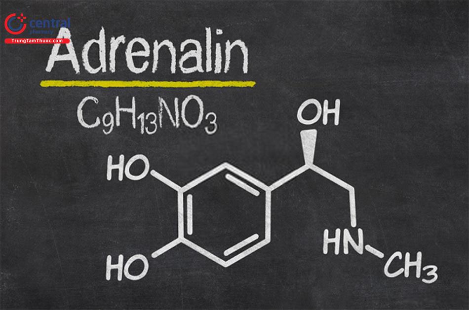 Nhóm thuốc kích thích hệ adrenergic: đại cương và thuốc cụ thể